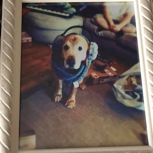 Meet your Posher, Emma